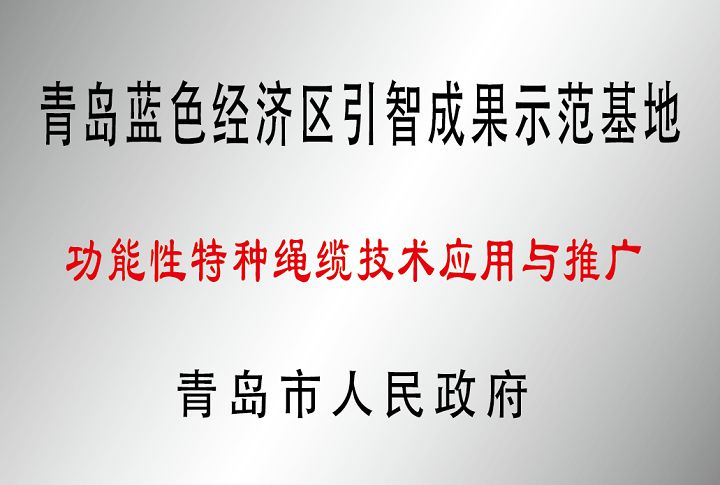 青岛市功能性特种绳缆技术应用与推广引智成果示范基地.jpg